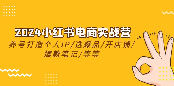 2024小红书电商实战营，养号打造IP/选爆品/开店铺/爆款笔记/等等（24节）-智创网