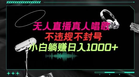 抖音24小时无人直播音乐，不违规，不封号纯撸音浪，小白实操当天日入1000+【揭秘】-智创网