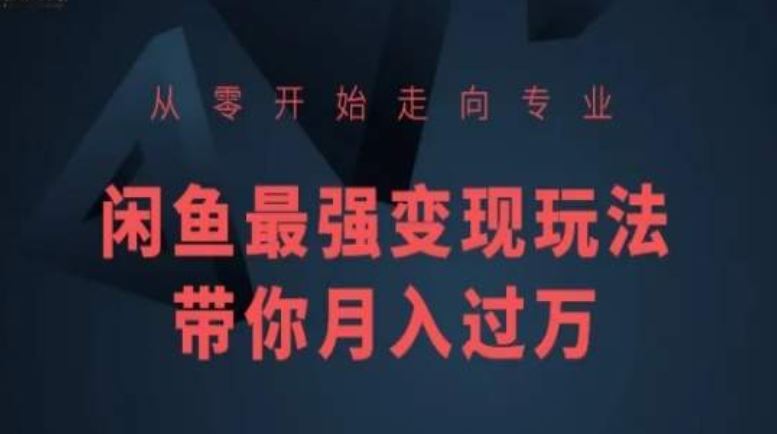 从零开始走向专业，闲鱼最强变现玩法带你月入过万-智创网