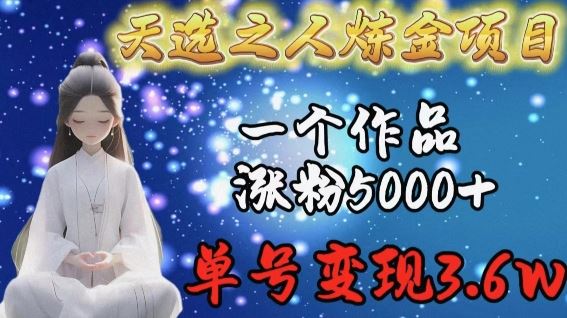 天选之人炼金项目，一个作品涨粉5000+，单号变现3.6w【揭秘】-智创网