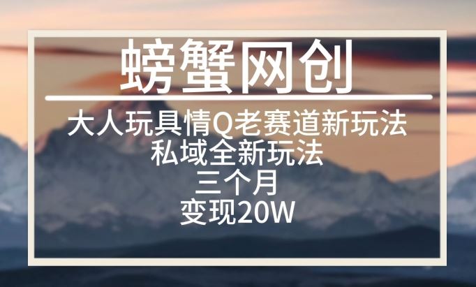 大人玩具情Q用品赛道私域全新玩法，三个月变现20W，老项目新思路【揭秘】-智创网