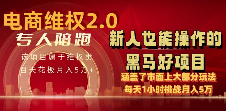 电商维权 4.0 如何做到月入 5 万+每天 1 小时新人也能快速上手【仅揭秘】-智创网
