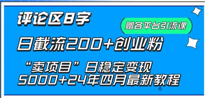 抖音评论区8字日截流200+创业粉 “卖项目”日稳定变现5000+【揭秘】-智创网