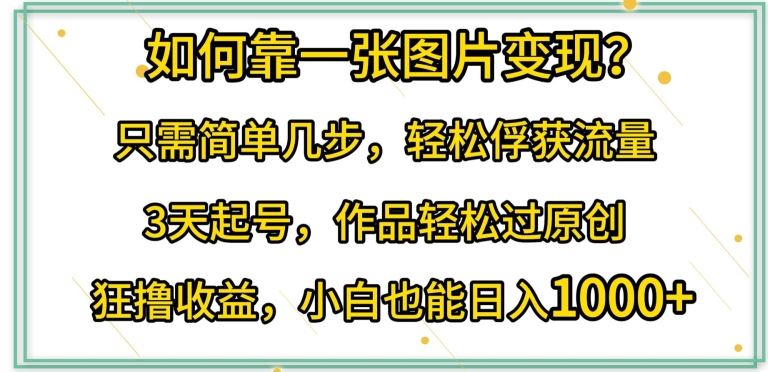 如何靠一张图片变现?只需简单几步，轻松俘获流量，3天起号，作品轻松过原创【揭秘】-智创网
