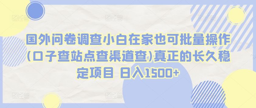 国外问卷调查小白在家也可批量操作(口子查站点查渠道查)真正的长久稳定项目 日入1500+【揭秘】-智创网