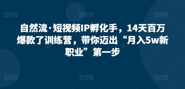 自然流·短视频IP孵化手，14天百万爆款了训练营，带你迈出“月入5w新职业”第一步-智创网