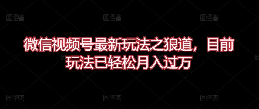 微信视频号最新玩法之狼道，目前玩法已轻松月入过万【揭秘】-智创网