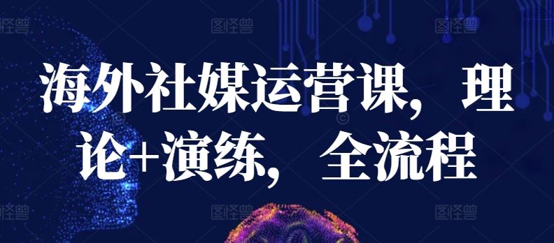 海外社媒运营课，理论+演练，全流程-智创网