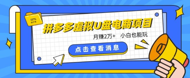 拼多多虚拟U盘电商红利项目：月赚2万+，新手小白也能玩-智创网