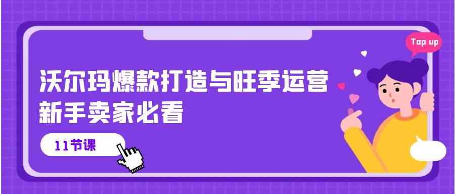 沃尔玛爆款打造与旺季运营，新手卖家必看（11节视频课）-智创网