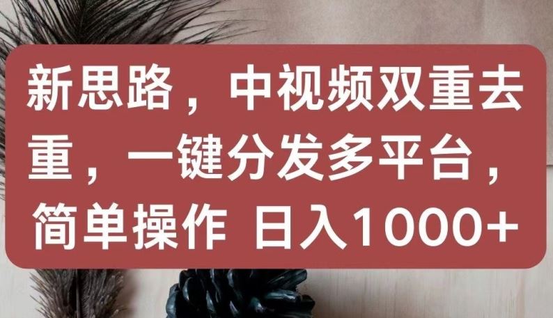 新思路，中视频双重去重，一键分发多平台，简单操作，日入1000+【揭秘】-智创网