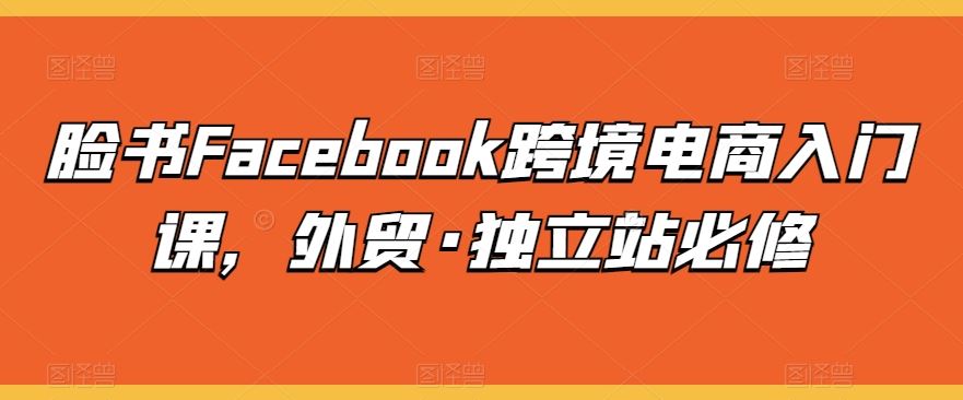 脸书Facebook跨境电商入门课，外贸·独立站必修-智创网