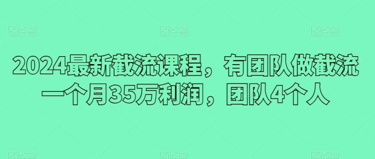 2024最新截流课程，有团队做截流一个月35万利润，团队4个人-智创网