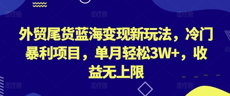 外贸尾货蓝海变现新玩法，冷门暴利项目，单月轻松3W+，收益无上限【揭秘】-智创网