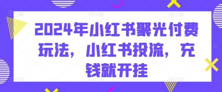 2024年小红书聚光付费玩法，小红书投流，充钱就开挂-智创网