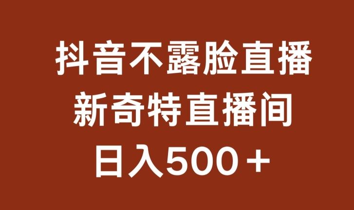 不露脸挂机直播，新奇特直播间，日入500+【揭秘】-智创网