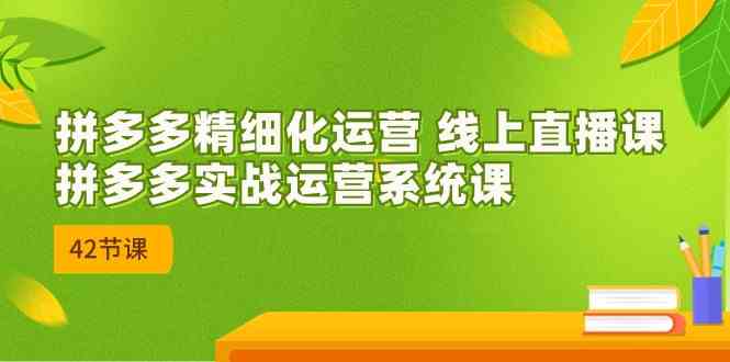 拼多多精细化运营 线上直播课：拼多多实战运营系统课（更新47节）-智创网