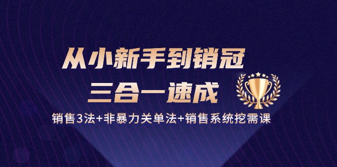 从小新手到销冠三合一速成：销售3法+非暴力关单法+销售系统挖需课 (27节)-智创网