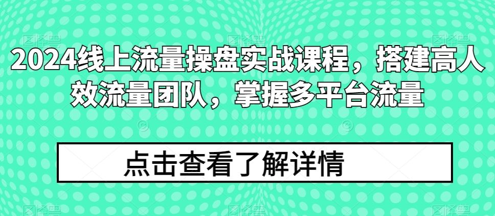 2024线上流量操盘实战课程，搭建高人效流量团队，掌握多平台流量-智创网