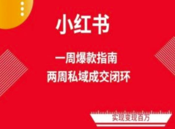 爆款小红书免费流量体系课程(两周变现)，小红书电商教程-智创网