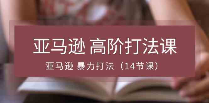 亚马逊高阶打法课，亚马逊暴力打法（14节课）-智创网