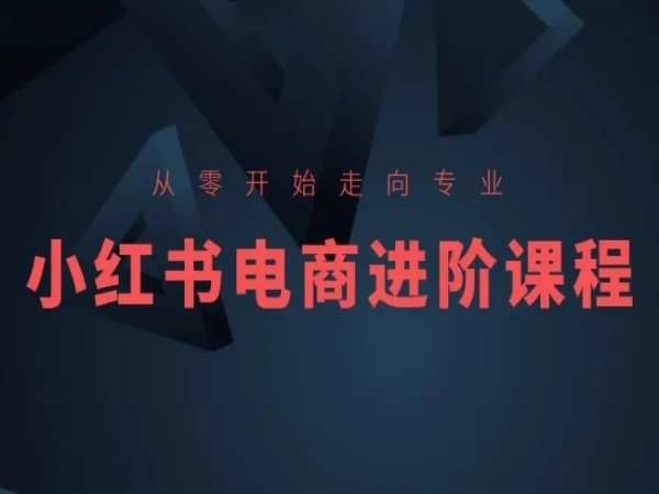 从零开始走向专业，小红书电商进阶课程-智创网