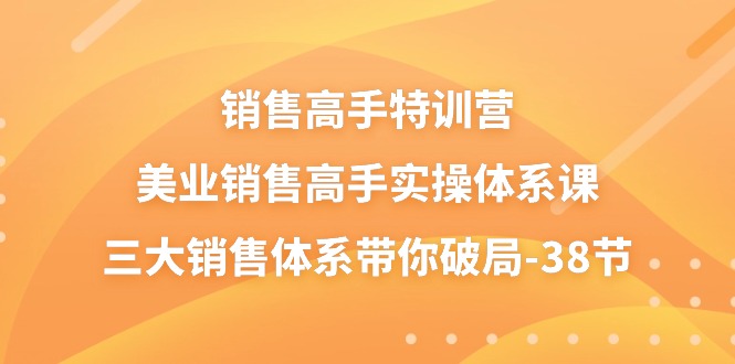 销售高手特训营，美业销售高手实操体系课，三大销售体系带你破局（38节）-智创网