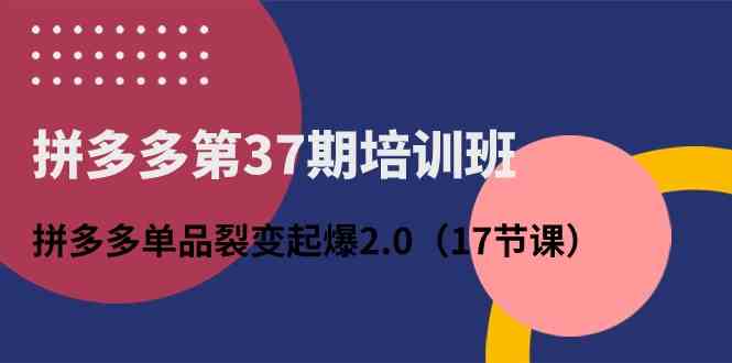 拼多多第37期培训班：拼多多单品裂变起爆2.0（17节课）-智创网