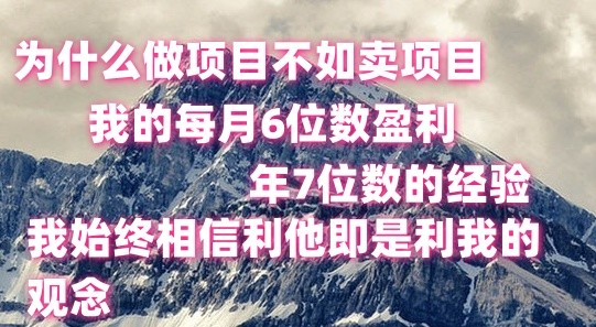 做项目不如卖项目，每月6位数盈利，年7位数经验-智创网