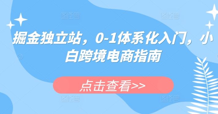 掘金独立站，0-1体系化入门，小白跨境电商指南-智创网