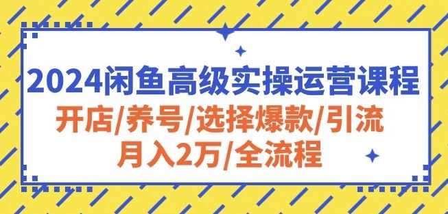 2024闲鱼高级实操运营课程：开店/养号/选择爆款/引流/月入2万/全流程-智创网