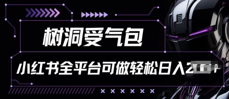 小红书等全平台树洞受气包项目，轻松日入一两张【揭秘】-智创网