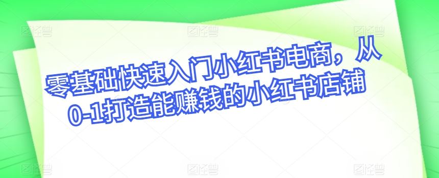 零基础快速入门小红书电商，从0-1打造能赚钱的小红书店铺-智创网