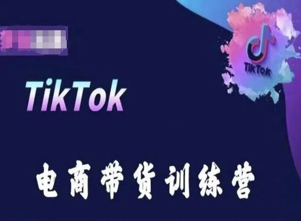 TikTok电商带货训练营，跟随时代潮流，跨境掘金-智创网