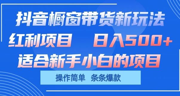 抖音橱窗带货新玩法，单日收益几张，操作简单，条条爆款【揭秘】-智创网
