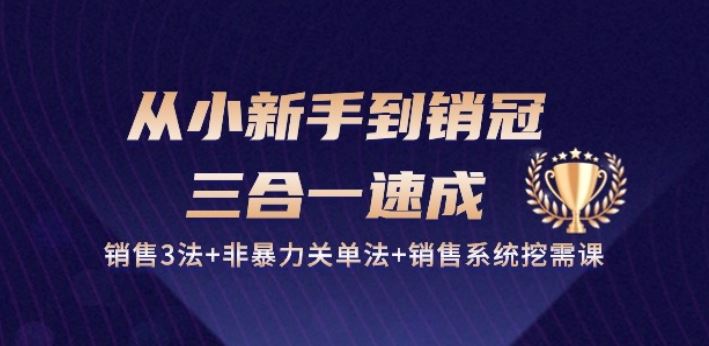 从小新手到销冠 三合一速成：销售3法+非暴力关单法+销售系统挖需课 (27节)-智创网