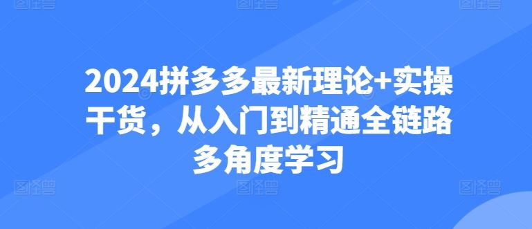 2024拼多多最新理论+实操干货，从入门到精通全链路多角度学习-智创网