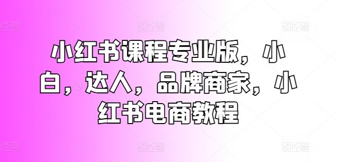 小红书课程专业版，小白，达人，品牌商家，小红书电商教程-智创网