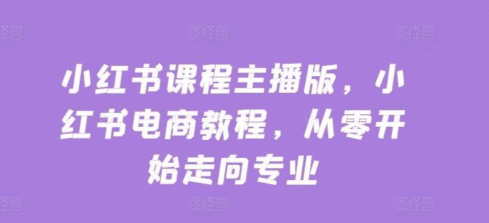 小红书课程主播版，小红书电商教程，从零开始走向专业-智创网