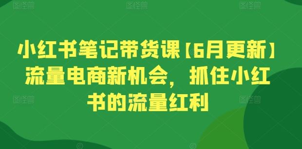 小红书笔记带货课【6月更新】流量电商新机会，抓住小红书的流量红利-智创网