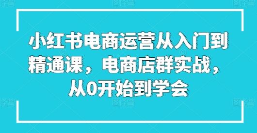 小红书电商运营从入门到精通课，电商店群实战，从0开始到学会-智创网