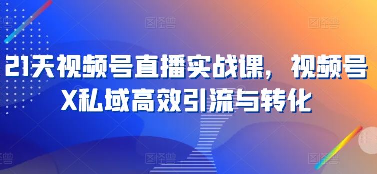 21天视频号直播实战课，视频号X私域高效引流与转化-智创网