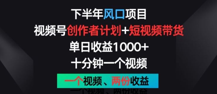 下半年风口项目，视频号创作者计划+视频带货，一个视频两份收益，十分钟一个视频【揭秘】-智创网