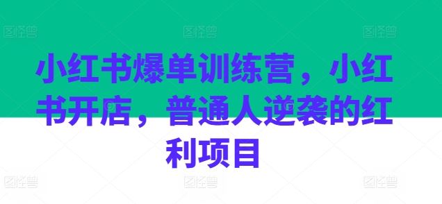 小红书爆单训练营，小红书开店，普通人逆袭的红利项目-智创网