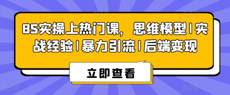 8S实操上热门课，思维模型|实战经验|暴力引流|后端变现-智创网