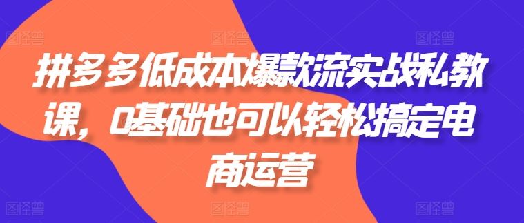 拼多多低成本爆款流实战私教课，0基础也可以轻松搞定电商运营-智创网