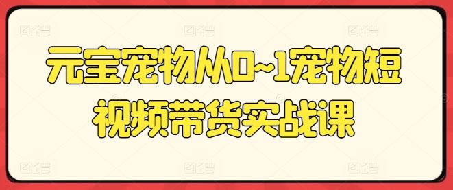 元宝宠物从0~1宠物短视频带货实战课-智创网
