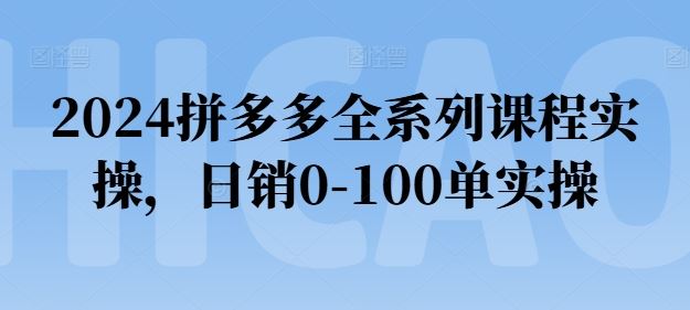 2024拼多多全系列课程实操，日销0-100单实操【必看】-智创网