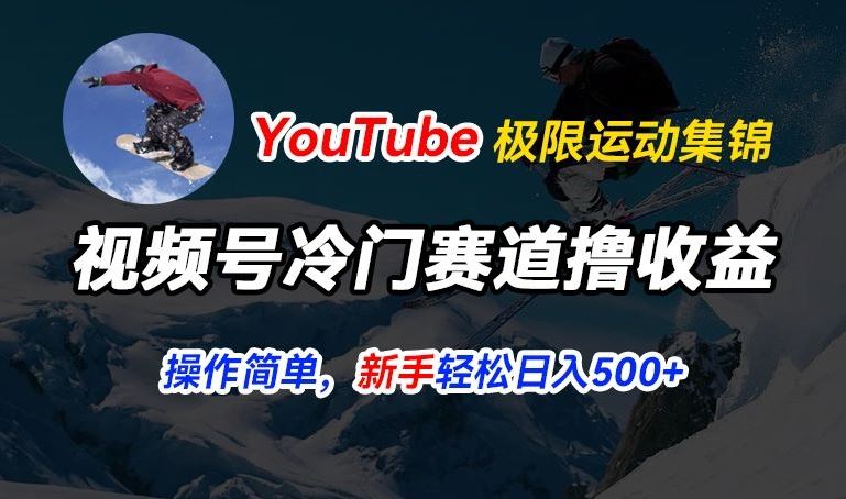 视频号冷门赛道撸收益，YouTube搬运极限运动集锦，暴力起号，操作简单流量高，轻松日入5张【揭秘】-智创网