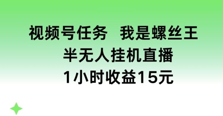 视频号任务，我是螺丝王， 半无人挂机1小时收益15元【揭秘】-智创网